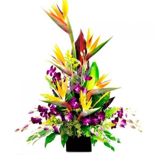 Цветочная композиция с орхидеей и стрелицией