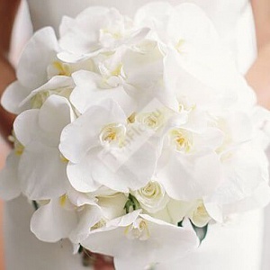 Букет невесты из белой розы и орхидеи фаленопсис