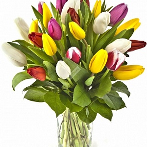 Букет микс из разноцветных 25 тюльпанов