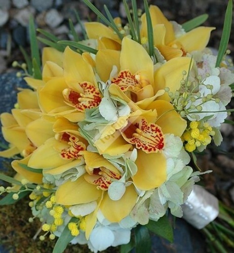 Букет невесты с гортензией орхидеей и мимозой