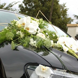 Украшение автомобиля с белой орхидеей
