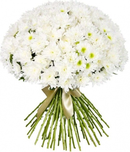 Букет Зембла белый из 35 хризантем