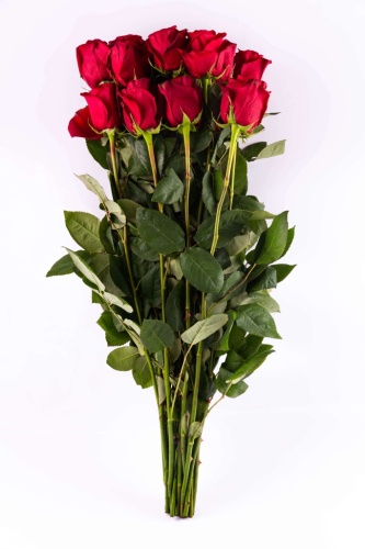 Букет красные розы 70 см