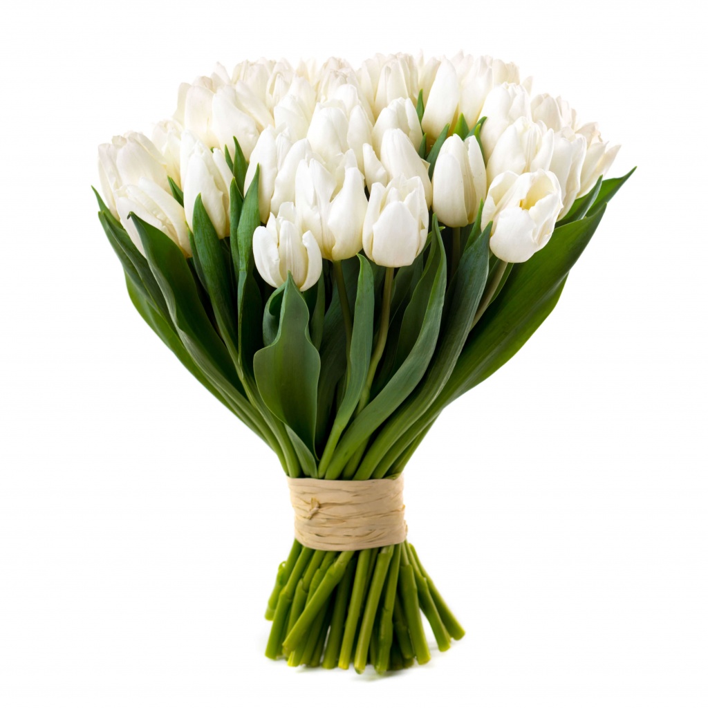 Букет из белых тюльпанов без упаковки - это, как первое причастие, первый н...