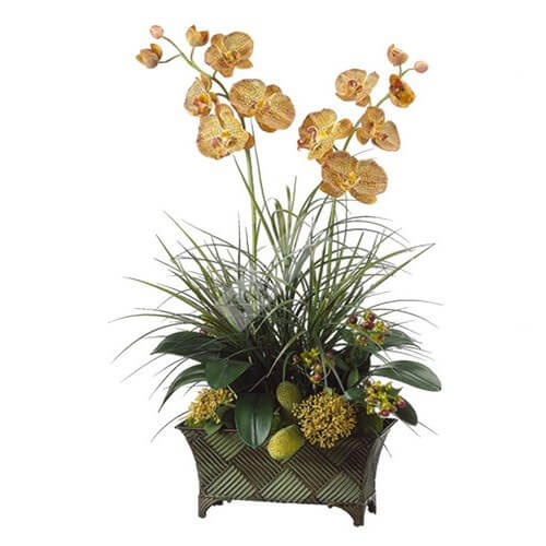 Цветочная композиция с орхидеями для дома и офиса