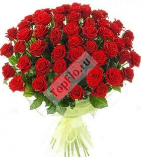 Букет из 51 красной розы в упаковке 40 см