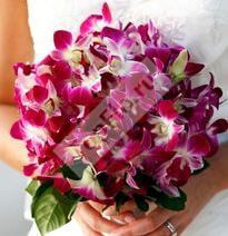 Букет невесты из орхидеи дендробиум и салала