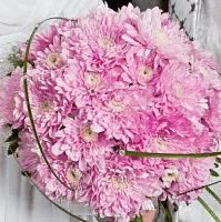 Букет невесты из розовой хризантемы с беарграссом