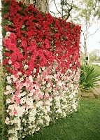 Оформление задника из красных розовых и белых цветов