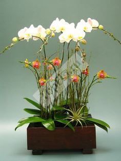 Цветочная композиция с орхидеями в кашпо для офиса