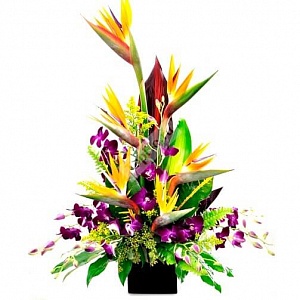 Цветочная композиция с орхидеей и стрелицией