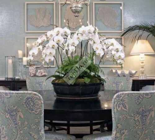 Оформление гостиной белыми орхидеями