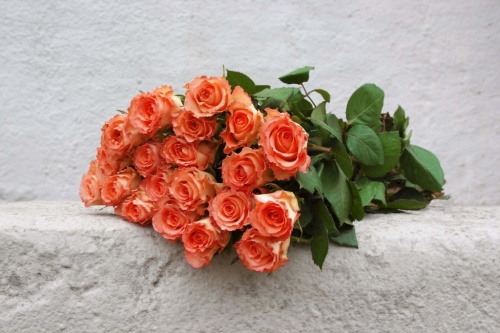 Букет из 21 розы недорого