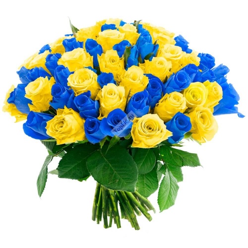 Букет из 51 синей и жёлтой розы
