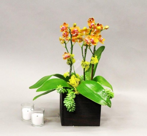 Цветочная композиция с орхидеей в оранжевом цвете