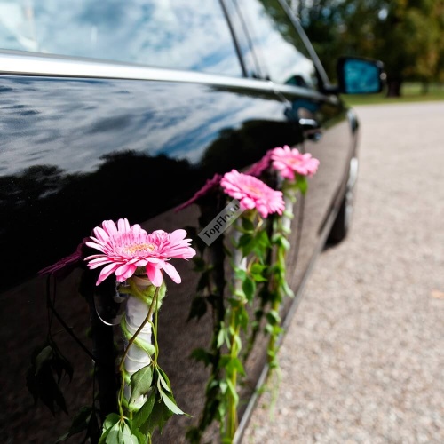 Украшение дверцы автомобиля из розовой герберы