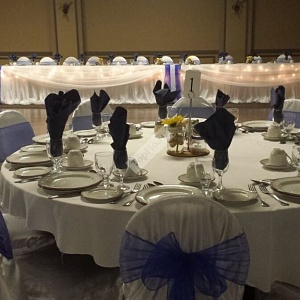 Сине белое оформление свадебного зала