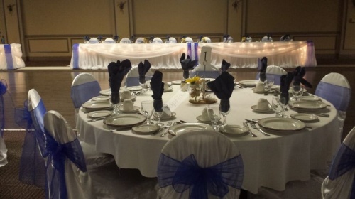 Сине белое оформление свадебного зала