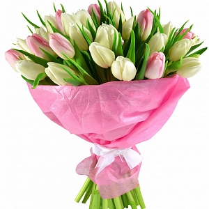 Букет бело розовых тюльпанов