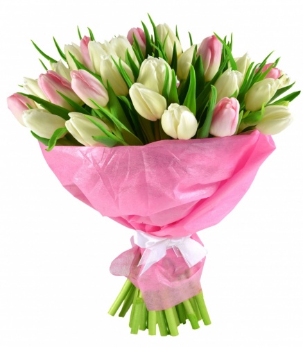 Букет бело розовых тюльпанов