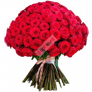 Букет из 101 красной розы с розовой лентой