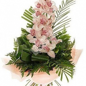 Букет с нежно розовой орхидеей цимбидиум