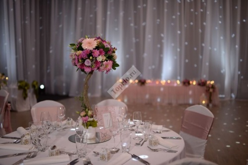 Оформление зала свадьбы в персиково розовых тонах