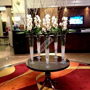 Оформление гостиничного лобби белыми орхидеями