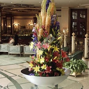 Цветы для гостиницы в кашпо
