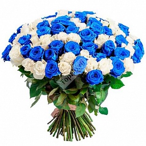Букет из 101 синей и белой розы