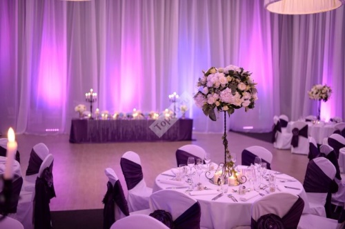 Фиолетовое оформление зала