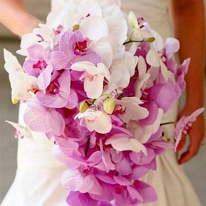 Каскадный букет невесты из орхидеи