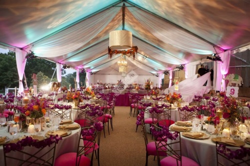 Оформление зала свадьбы в розовом цвете с украшением стульев живыми цветами