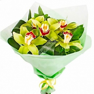 Букет из зеленых орхидеи