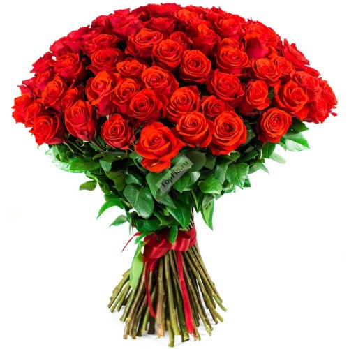 Букет из 101 красной розы Миллион алых роз