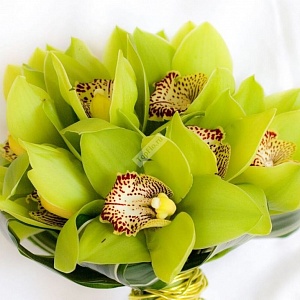 Зеленый букет невесты из орхидеи цимбидиум