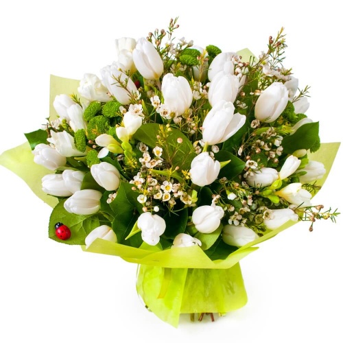 Букет Белая роса из 25 тюльпанов