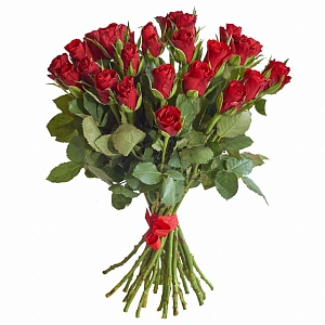 Букет из 25 кенийских роз