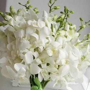 Букет невесты из орхидеи дендробиум