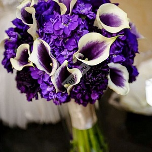 Фиолетовый букет невесты из калл