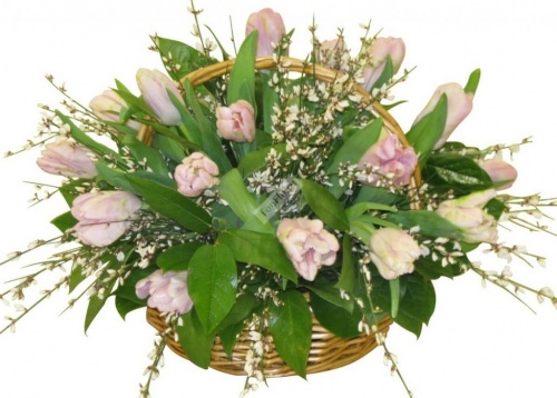 Цветочная композиция из тюльпанов и джинстера Весенняя капель