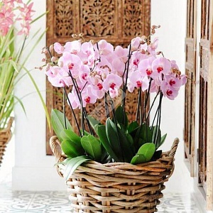 Декоративная корзинка для дома с розовыми цветами