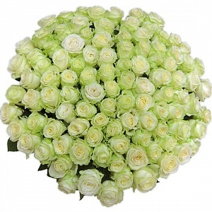 Букет из 101 белой розы 50 см