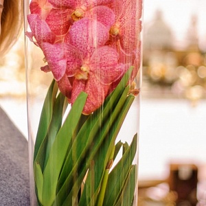 Композиция с орхидеями в вазе