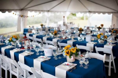 Сине белое оформление свадебного шатра