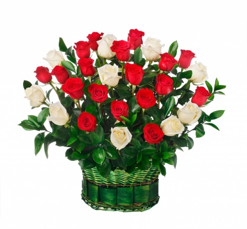 Букет из 25 красно-белых роз
