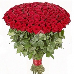 Букет из 101 красной розы 50 см