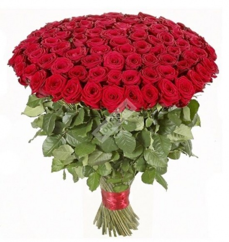 Букет из 101 красной розы 50 см