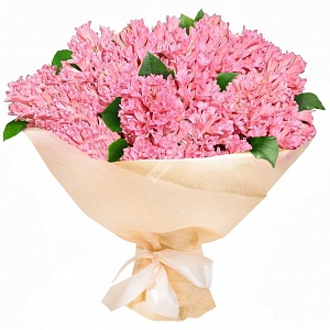 Букет розовых гиацинтов