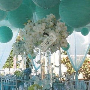 Оформление зала свадьбы белыми орхидеями и бирюзовыми бумажными фонарями